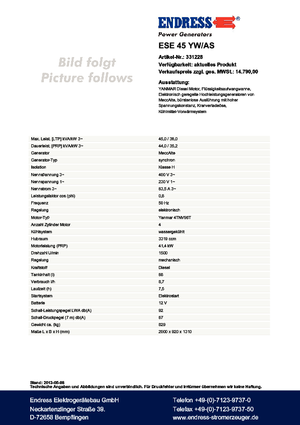 Generatori diesel Endress ESE 45 YW/AS 