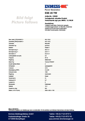 Generatori diesel Endress ESE 45 YW 