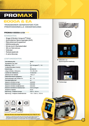 Generatori diesel Vanguard Promax 6000 A
