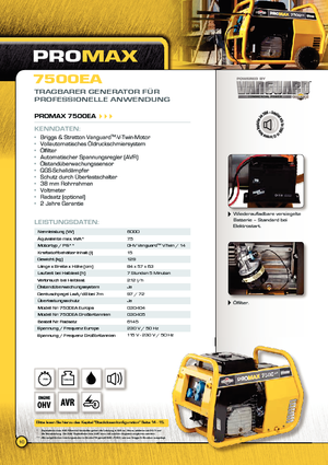 Generatori diesel Vanguard Promax 7500 EA