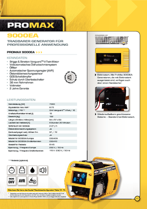 Generatori diesel Vanguard Promax 9000 EA