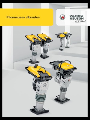 Costipatori Diesel e Benzina Wacker Neuson BS60-4 As 11