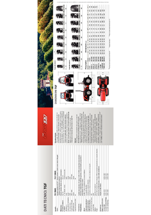 Trattrici agricole - trazione a 4 ruote Carraro Ergit TGF 9800