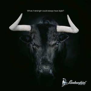 Trattrici agricole - trazione a 4 ruote Lamborghini Nitro 120 VRT DT