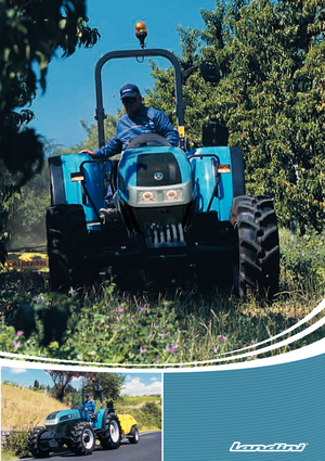 Trattrici agricole - trazione a 4 ruote Landini Technofarm 80 STD
