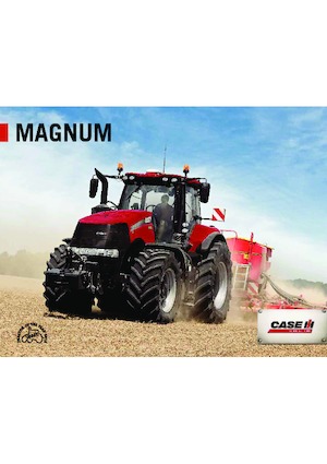 Trattrici agricole - trazione a 4 ruote Case IH Magnum 310 CVX Basis