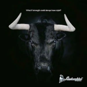 Trattrici agricole - trazione a 4 ruote Lamborghini Nitro 120