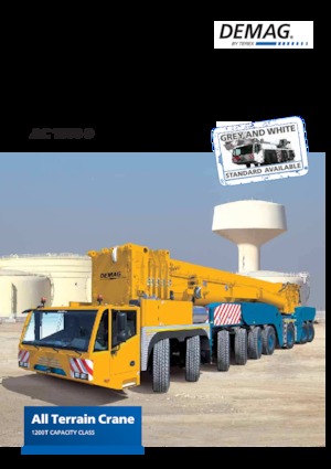 Gru fuoristrada Demag AC 1000-9