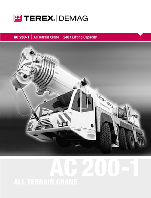 Gru fuoristrada Terex-Demag AC 200-1 (10x8x8)