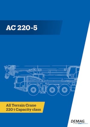 Gru fuoristrada Demag AC 220-5
