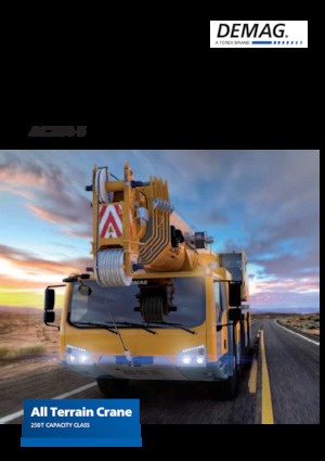 Gru fuoristrada Demag AC 250-5