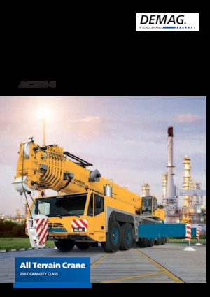 Gru fuoristrada Demag AC 250-6 