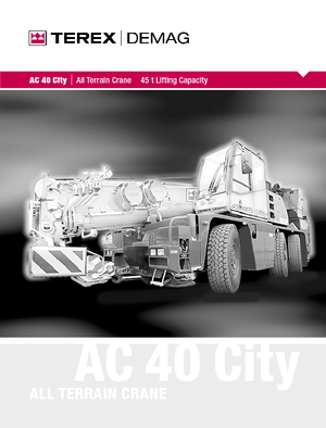 Gru fuoristrada Terex-Demag AC 40 City (6x4x6)