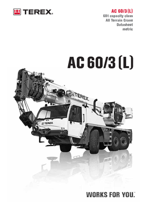 Gru fuoristrada Terex-Demag AC 60/3 (6x6x6)