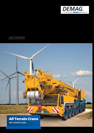 Gru fuoristrada Demag AC 700-9