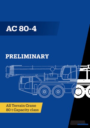 Gru fuoristrada Demag AC 80-4