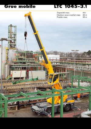 Gru fuoristrada Liebherr LTC 1045-3.1 (6x6x6)