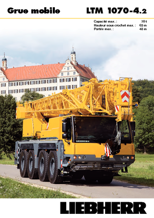 Gru fuoristrada Liebherr LTM 1070-4.2 