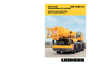 Gru fuoristrada Liebherr LTM 1220-5.2 (10x6x10)