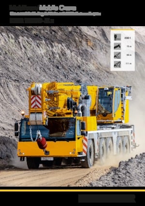 Gru fuoristrada Liebherr LTM 1230-5.1