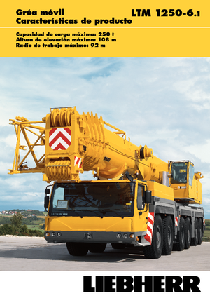 Gru fuoristrada Liebherr LTM 1250-6.1 (12x8x10)