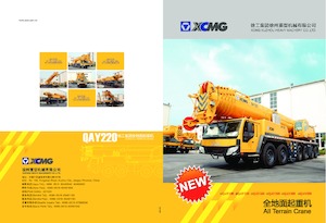 Gru fuoristrada XCMG QAY220