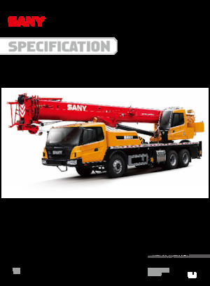 Gru fuoristrada Sany STC250C4