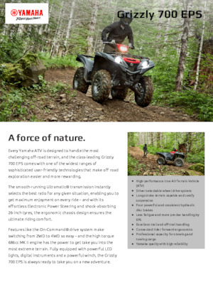Veicoli fuoristrada & Quad Yamaha GRIZZLY 700 EPS
