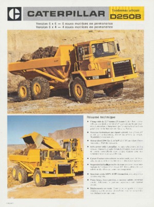 Dumperini articolati Caterpillar D250B