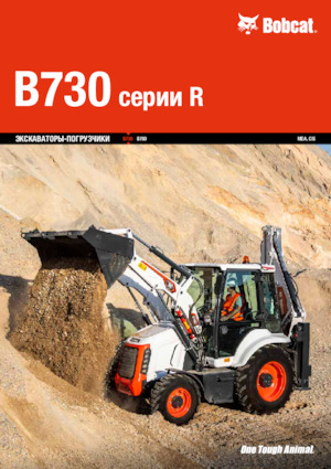 Terne Bobcat B730