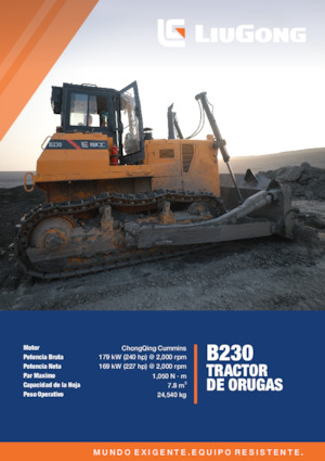Apripista cingolati Liugong B230