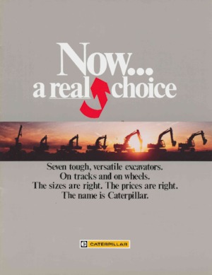 Escavatori cingolati Caterpillar 205LC