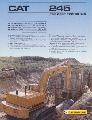 Escavatori cingolati Caterpillar 245