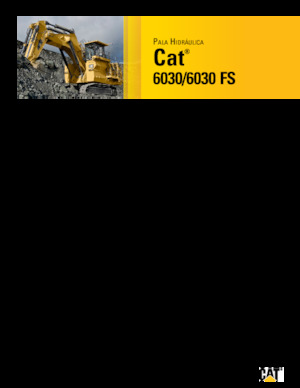 Escavatori cingolati Caterpillar 6030 FS