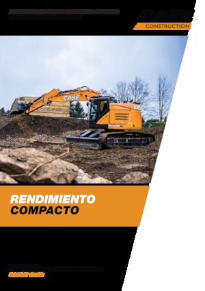 Escavatori cingolati Case CX245D SR