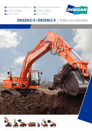 Escavatori cingolati Doosan DX255NLC-3