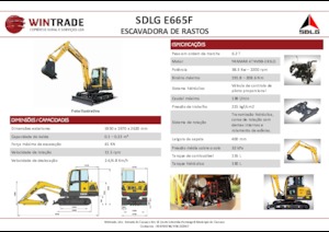 Escavatori cingolati SDLG E665F
