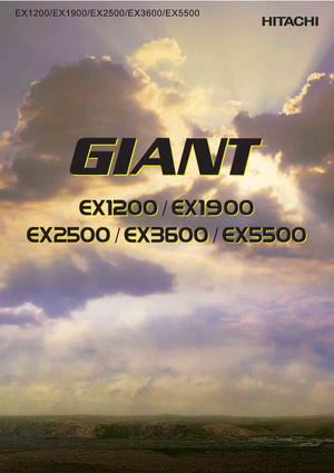 Escavatori cingolati Hitachi EX 1200-6