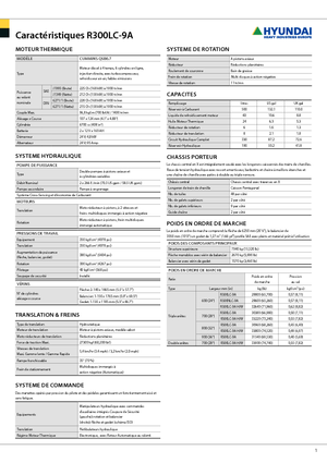 Escavatori cingolati Hyundai R 300 NLC-9 A
