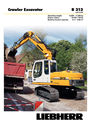 Escavatori cingolati Liebherr R 313 Litronic