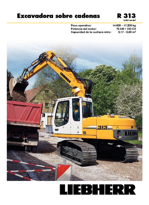 Escavatori cingolati Liebherr R 313 Litronic