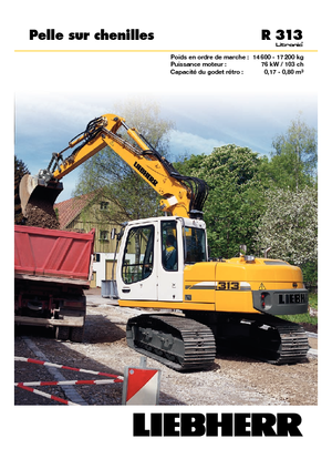 Escavatori cingolati Liebherr R 313 Litronic