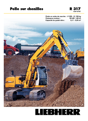 Escavatori cingolati Liebherr R 317 Litronic