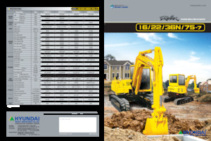 Miniescavatori Hyundai R 36N-7