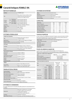 Escavatori cingolati Hyundai R 380 LC-9 A