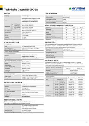 Escavatori cingolati Hyundai R 380 LC-9 A