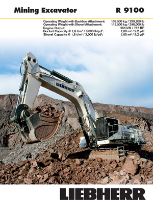 Escavatori cingolati Liebherr R 9100