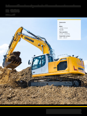 Escavatori cingolati Liebherr R 924 Litronic 