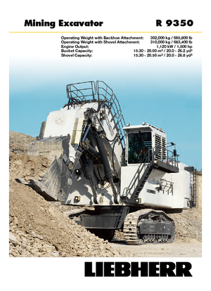 Escavatori cingolati Liebherr R 9350 