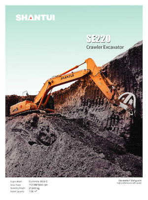 Escavatori cingolati Shantui SE220 